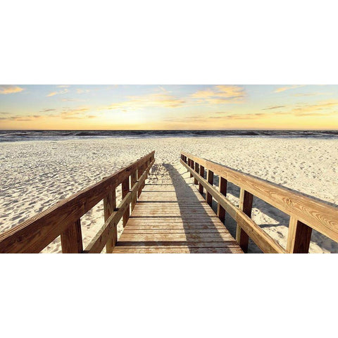 To the Beach White Modern Wood Framed Art Print by Carpentieri, Natalie