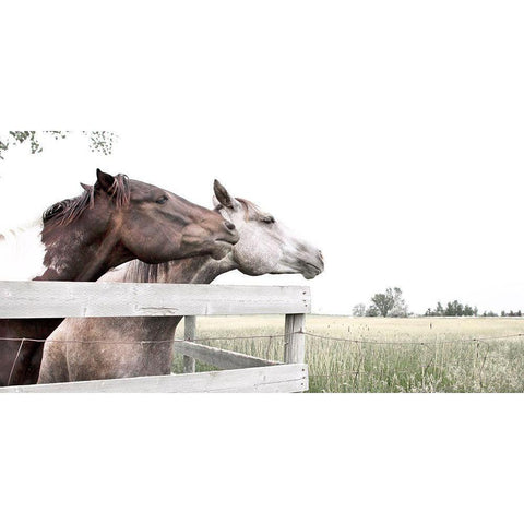 Conspirators Black Modern Wood Framed Art Print with Double Matting by Robinson, Carol