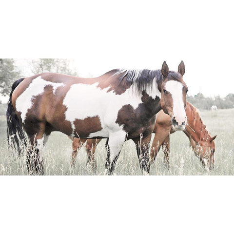 Grazin Black Modern Wood Framed Art Print by Robinson, Carol