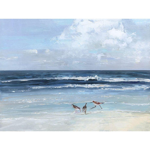 Beach Trio Black Modern Wood Framed Art Print with Double Matting by Swatland, Sally