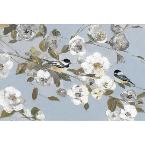 Chickadees and Blossoms II Black Modern Wood Framed Art Print with Double Matting by Swatland, Sally