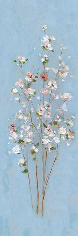 Cherry Blossom Spray II White Modern Wood Framed Art Print with Double Matting by Swatland, Sally