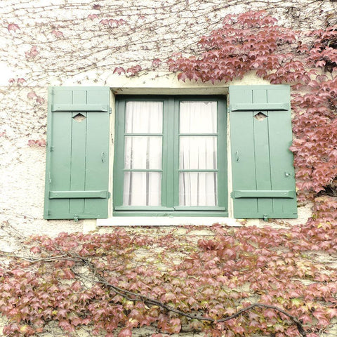 Giverny Gold Ornate Wood Framed Art Print with Double Matting by Jill, Susan