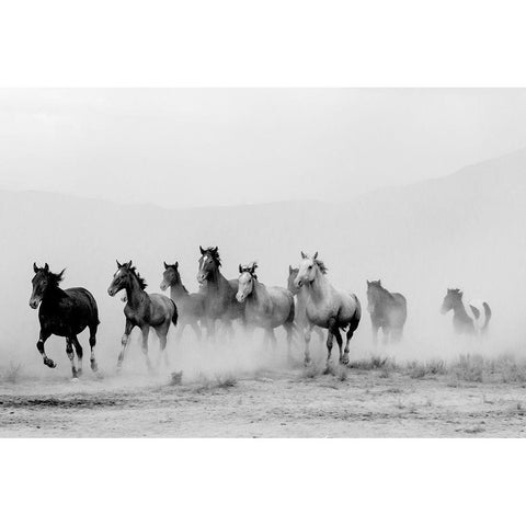 Tooele County White Modern Wood Framed Art Print by Jaynes, William D.