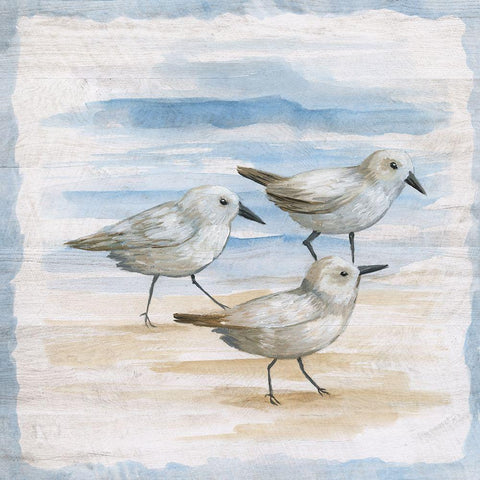 Shore Birds I White Modern Wood Framed Art Print with Double Matting by Nan