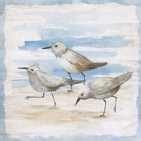 Shore Birds II White Modern Wood Framed Art Print by Nan