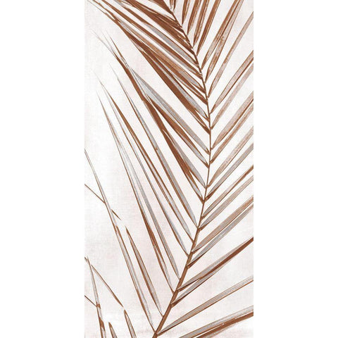 Sedona Frond II Black Modern Wood Framed Art Print with Double Matting by Robinson, Carol