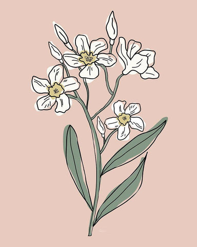 Outline Botanical I White Modern Wood Framed Art Print with Double Matting by Carpentieri, Natalie