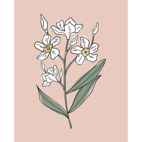 Outline Botanical II Gold Ornate Wood Framed Art Print with Double Matting by Carpentieri, Natalie