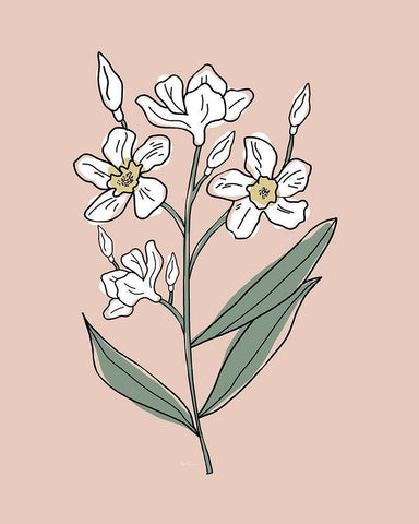 Outline Botanical II Black Ornate Wood Framed Art Print with Double Matting by Carpentieri, Natalie