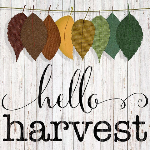 Hello Harvest White Modern Wood Framed Art Print with Double Matting by CAD Designs