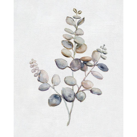 Eucalyptus I White Modern Wood Framed Art Print by Brooks, Donna
