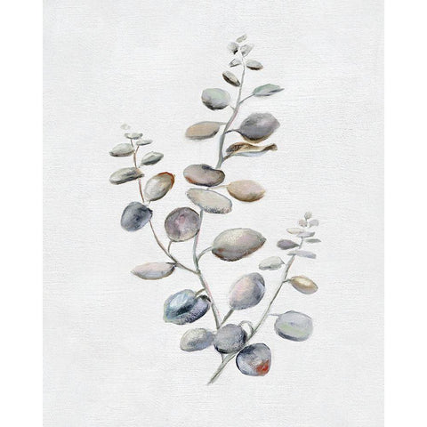 Eucalyptus II Gold Ornate Wood Framed Art Print with Double Matting by Brooks, Donna