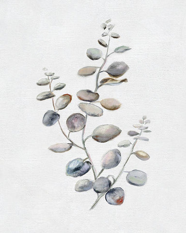 Eucalyptus II Black Ornate Wood Framed Art Print with Double Matting by Brooks, Donna