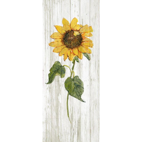 Sunflower in Autumn II Gold Ornate Wood Framed Art Print with Double Matting by Swatland, Sally