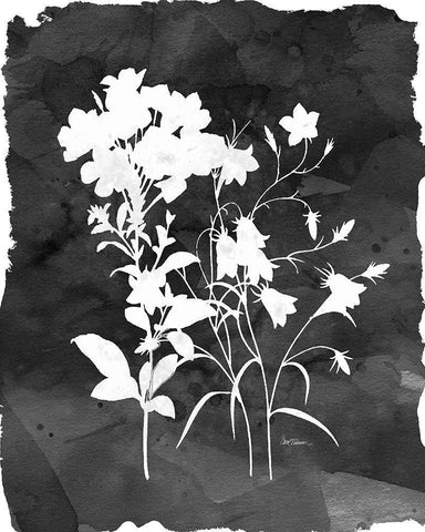 Black Botanical II White Modern Wood Framed Art Print with Double Matting by Robinson, Carol