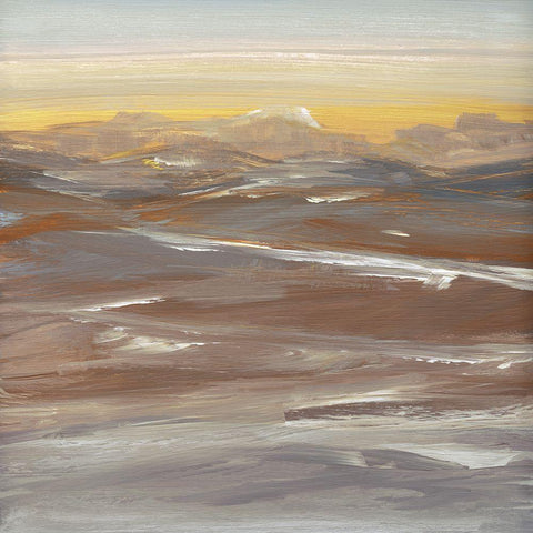 Desert Sundown Black Modern Wood Framed Art Print with Double Matting by Jill, Susan