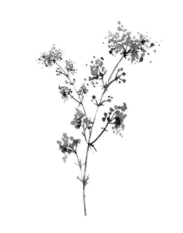 Neutral Washed Botanical I White Modern Wood Framed Art Print with Double Matting by Knutsen, Conrad