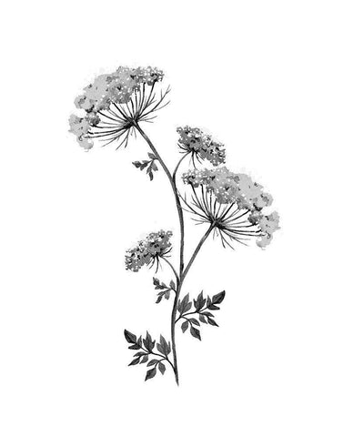 Neutral Washed Botanical III Black Ornate Wood Framed Art Print with Double Matting by Knutsen, Conrad