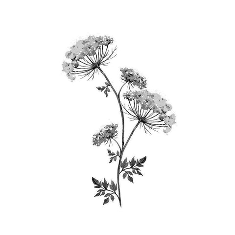 Neutral Washed Botanical III Black Modern Wood Framed Art Print by Knutsen, Conrad