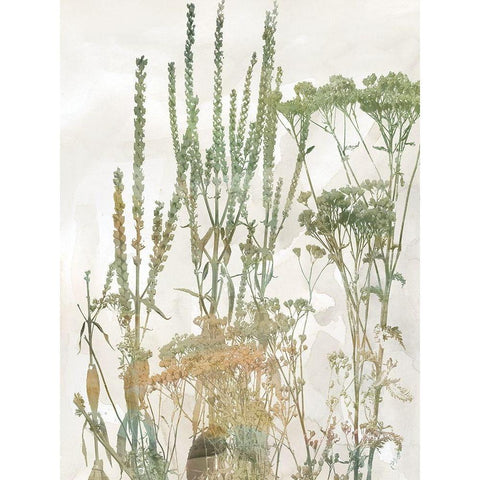 Untamed Garden II Gold Ornate Wood Framed Art Print with Double Matting by Robinson, Carol