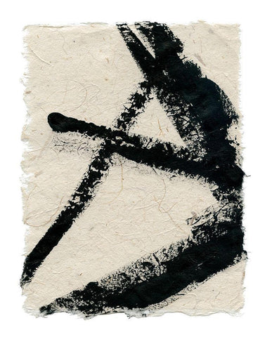 Lines Crossed I Black Ornate Wood Framed Art Print with Double Matting by Robinson, Carol