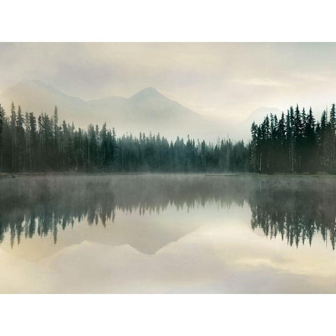 Jade Reflection White Modern Wood Framed Art Print by Delimont, Danita