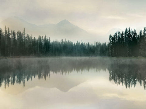 Jade Reflection White Modern Wood Framed Art Print with Double Matting by Delimont, Danita