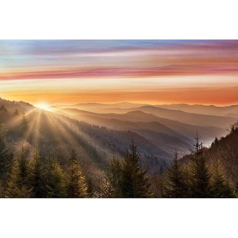 Smokey Sunrise White Modern Wood Framed Art Print by Delimont, Danita