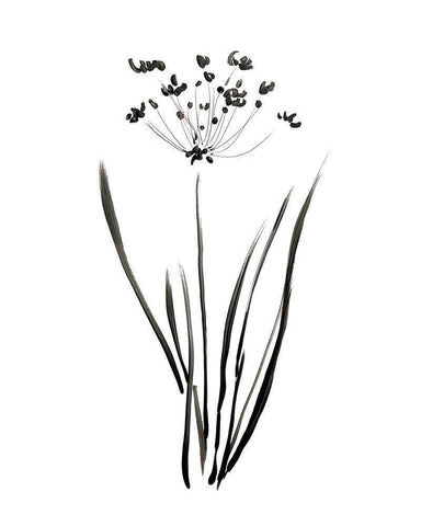 Inky Botanical II White Modern Wood Framed Art Print with Double Matting by Donovan, Kelly