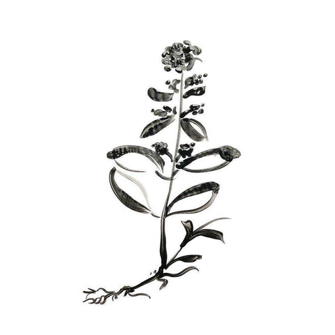 Inky Botanical III Gold Ornate Wood Framed Art Print with Double Matting by Donovan, Kelly