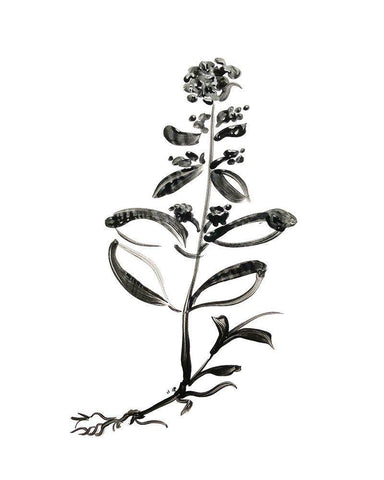 Inky Botanical III Black Ornate Wood Framed Art Print with Double Matting by Donovan, Kelly