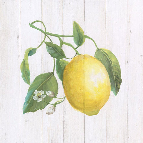 Lemon Fresh I White Modern Wood Framed Art Print with Double Matting by Nan