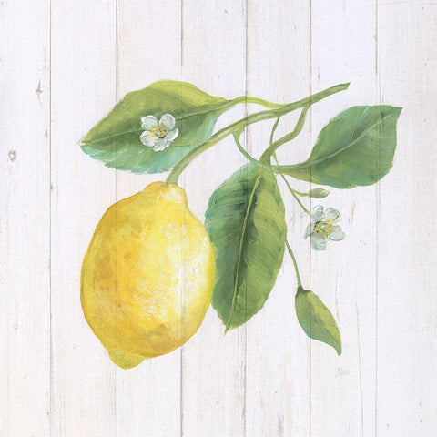 Lemon Fresh II Gold Ornate Wood Framed Art Print with Double Matting by Nan