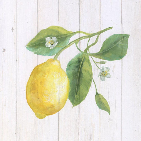 Lemon Fresh II White Modern Wood Framed Art Print by Nan