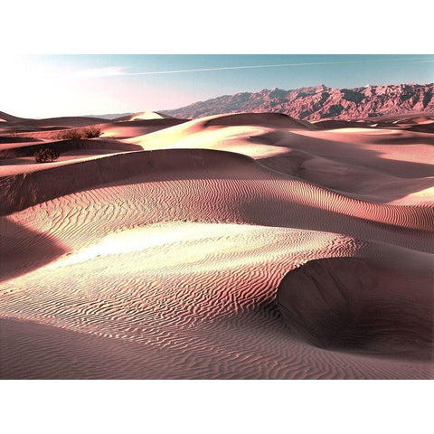 Mojave at Sunset Black Modern Wood Framed Art Print by Delimont, Danita