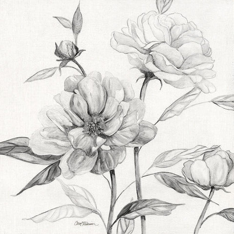 Linen Peony Sketch I Black Ornate Wood Framed Art Print with Double Matting by Robinson, Carol