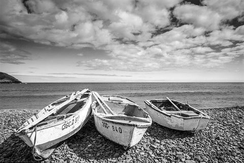 Canary Island Fishing Boats Black Ornate Wood Framed Art Print with Double Matting by Delimont, Danita