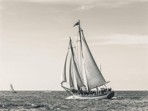 Ocean Schooner Black Ornate Wood Framed Art Print with Double Matting by Delimont, Danita