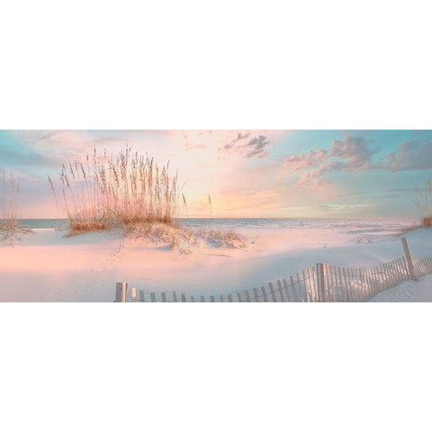 Through the Sea Grass Black Modern Wood Framed Art Print by Calascibetta, Mike