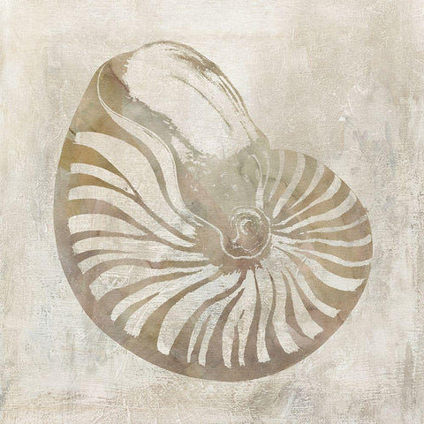 Seashell Illusion I White Modern Wood Framed Art Print with Double Matting by Robinson, Carol