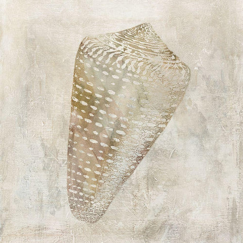 Seashell Illusion II White Modern Wood Framed Art Print by Robinson, Carol