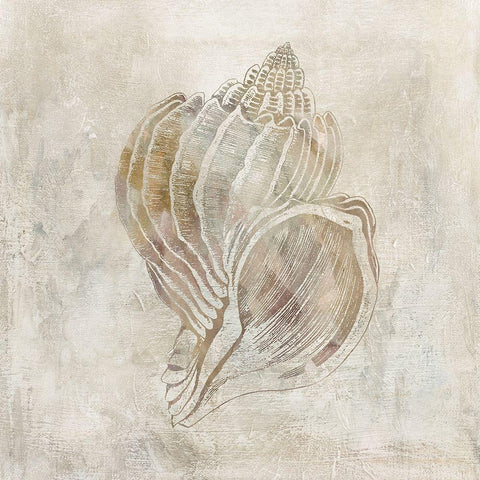 Seashell Illusion III Gold Ornate Wood Framed Art Print with Double Matting by Robinson, Carol