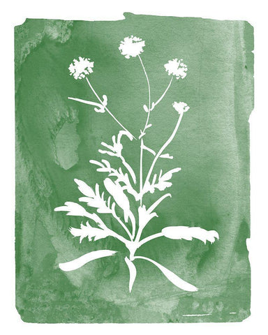 Green Botanical I Black Ornate Wood Framed Art Print with Double Matting by Donovan, Kelly