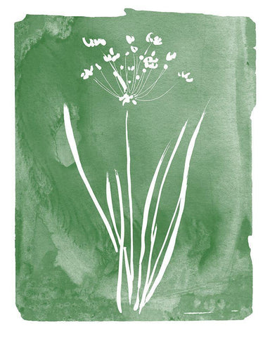 Green Botanical II Black Ornate Wood Framed Art Print with Double Matting by Donovan, Kelly
