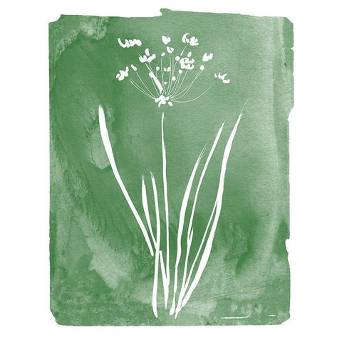 Green Botanical II Gold Ornate Wood Framed Art Print with Double Matting by Donovan, Kelly