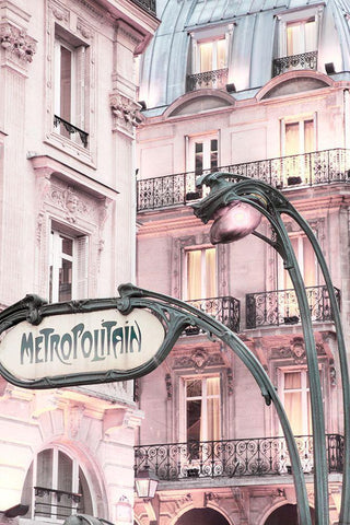 Metro Black Ornate Wood Framed Art Print with Double Matting by Delimont, Danita