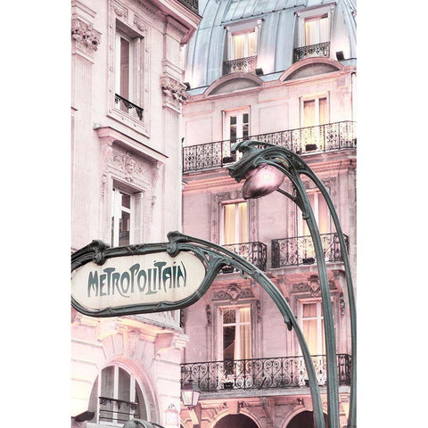 Metro Gold Ornate Wood Framed Art Print with Double Matting by Delimont, Danita