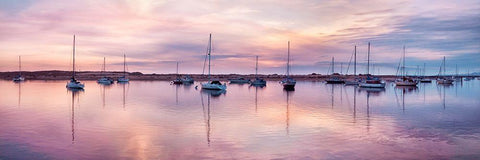 Morro Bay Sunset Black Ornate Wood Framed Art Print with Double Matting by Delimont, Danita