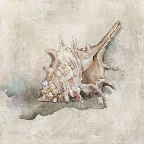 Seashell Textures I White Modern Wood Framed Art Print by Robinson, Carol